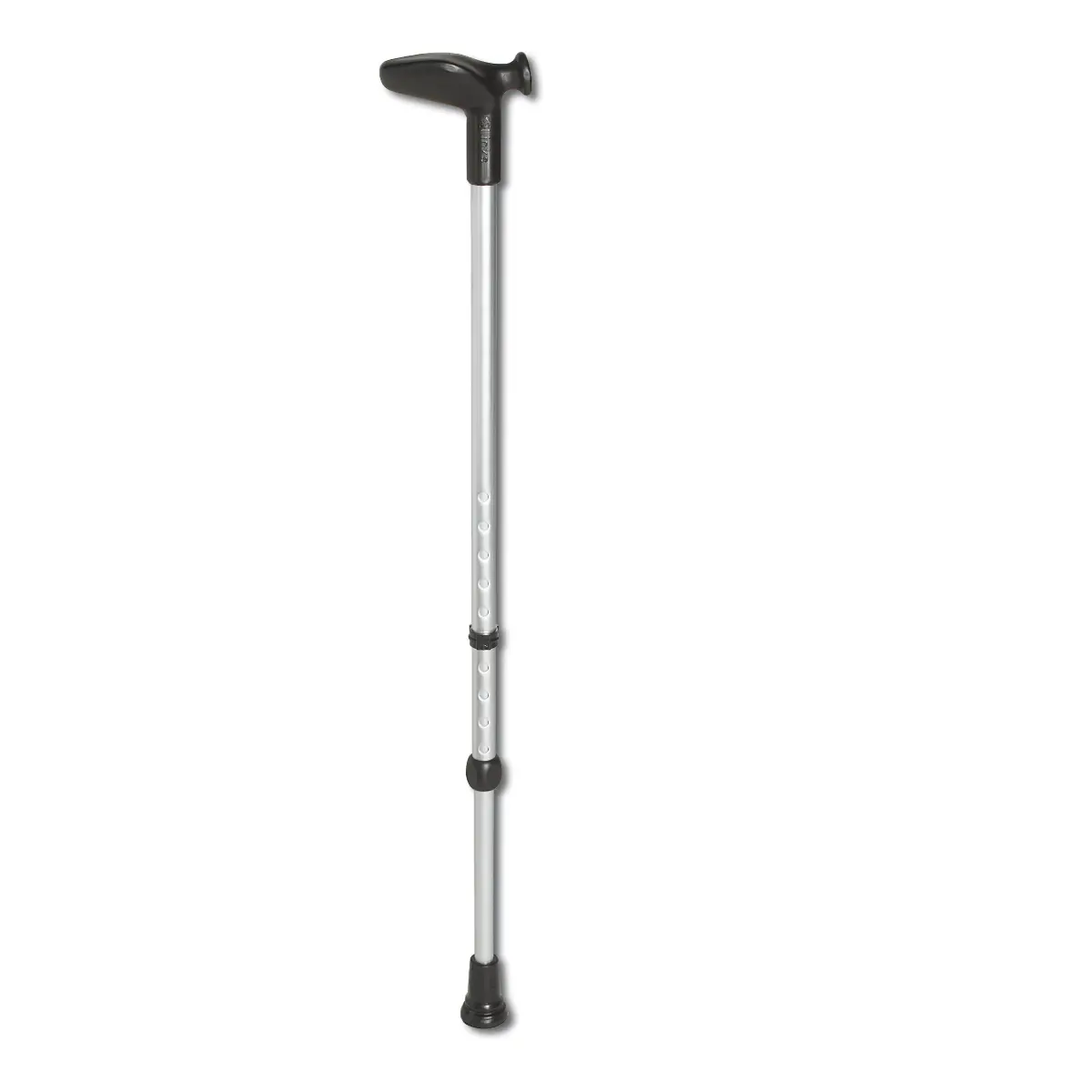 Gehstock Anatom