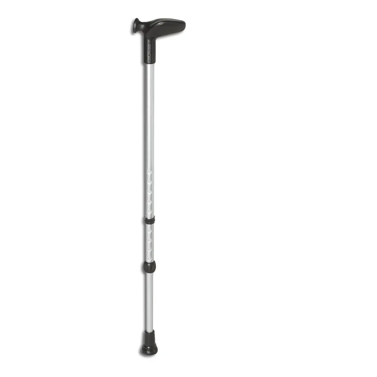 Gehstock Anatom